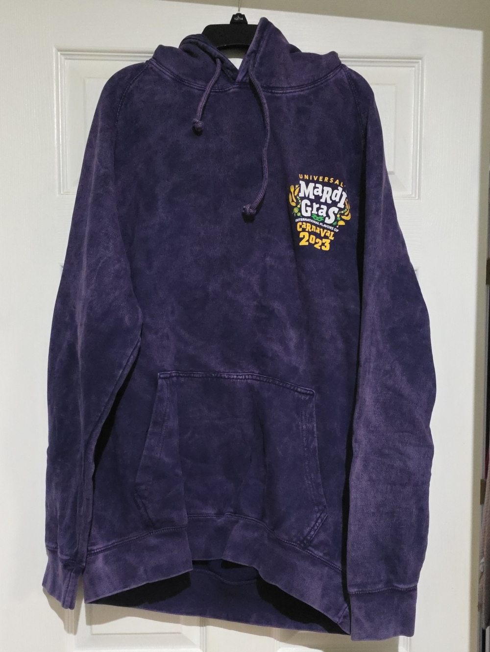 Universal 2023 Purple Hoodie with Mardi Gras Graphic